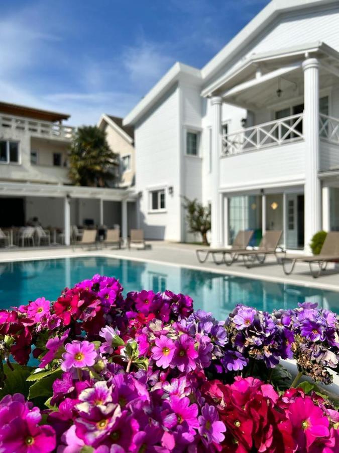 Villa No 44 Darica  Luaran gambar